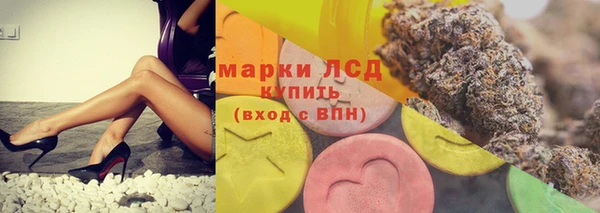 прущий лед Новозыбков