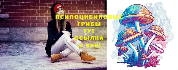 бошки Богородицк