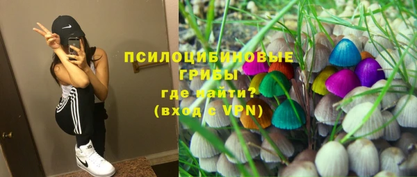 MESCALINE Новодвинск