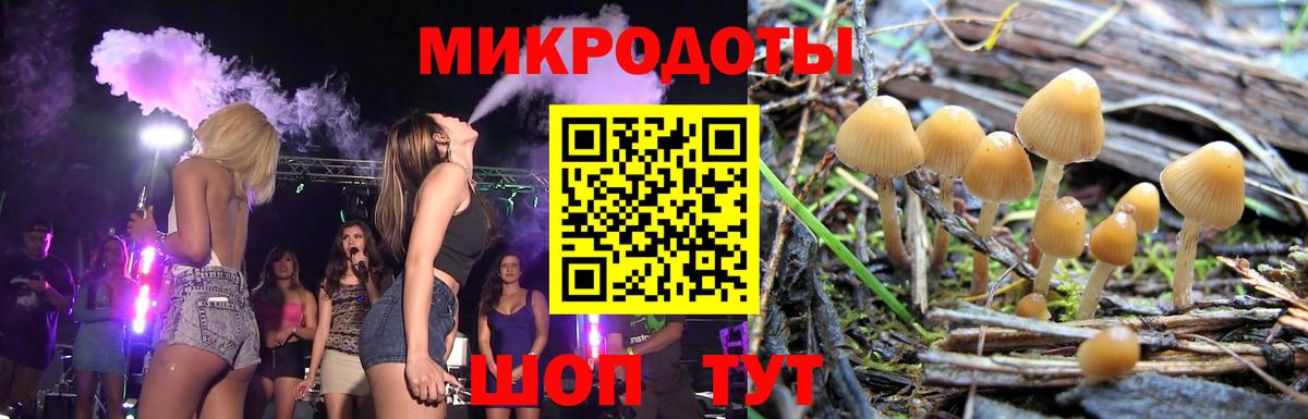 Зеленокумск  Псилоцибиновые грибы Psilocybine cubensis  Вход с VPN  Галлюциногенные грибы Magic Shrooms 