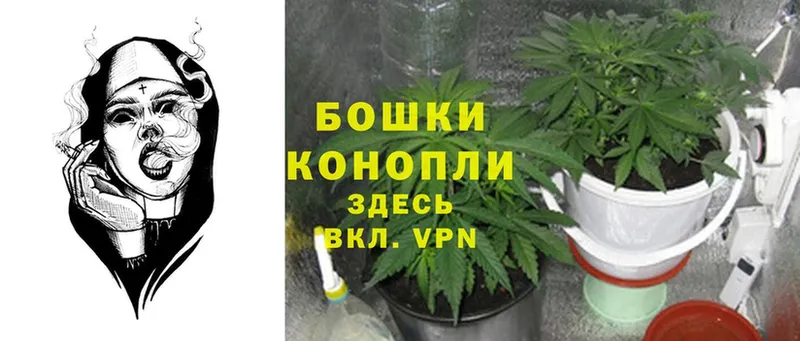 Каннабис Bruce Banner  хочу   Зеленокумск 